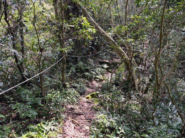 暗影山步道2753088