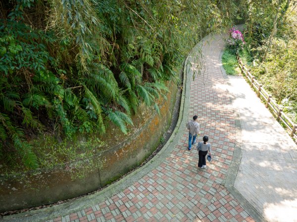 三民蝙輻洞2802484