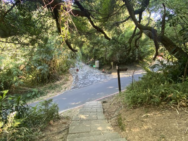 【四獸山 Short】虎豹象先行！獅山封閉中，等新步道開箱再相見2888809