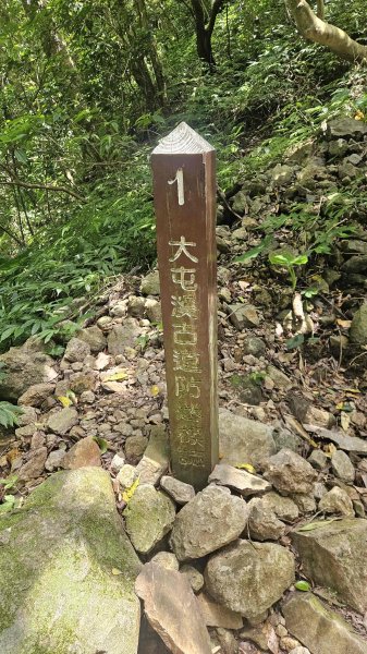 20250820金童玉女月牙天沖(金童嶺-玉女嶺-女王尖-月牙嶺-瑞光嶺-明月崙-清淨嶺-文筆嶺-清2872757