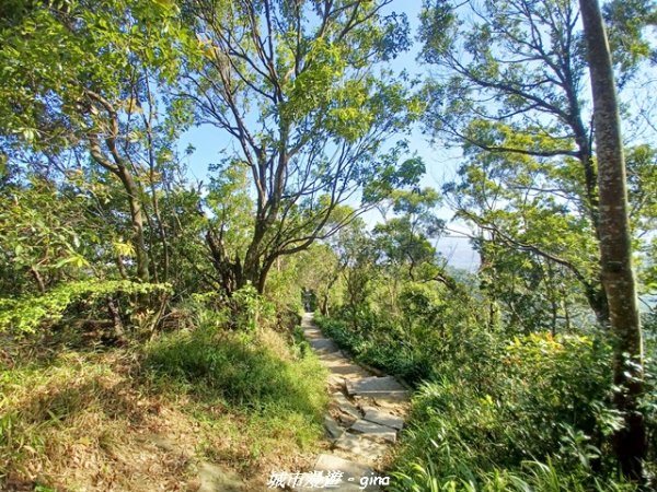 【新北中和】小百岳~烘爐地登山步道 (南勢角山)2950591