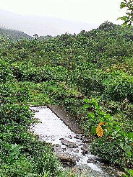 山中傳奇的貂山古道1360223