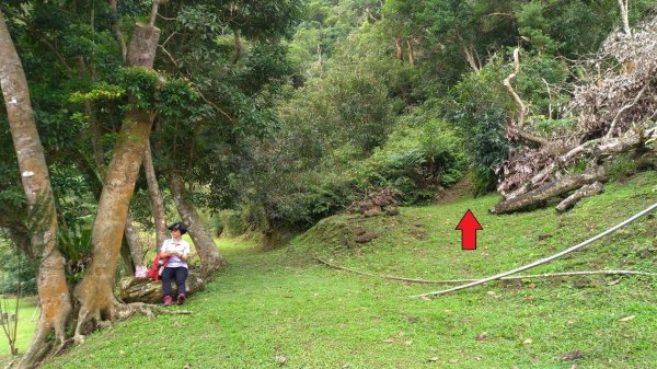 小百岳行~礁溪鵲子山（鵠仔山、鴻子山）跑770825