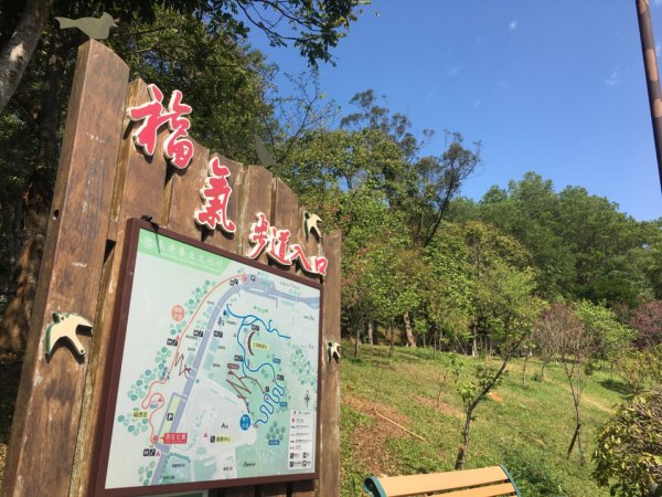 福氣步道、養生步道、長庚養生文化村2441870