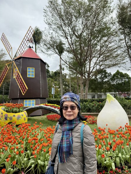 士林官邸~鬱金香2717304