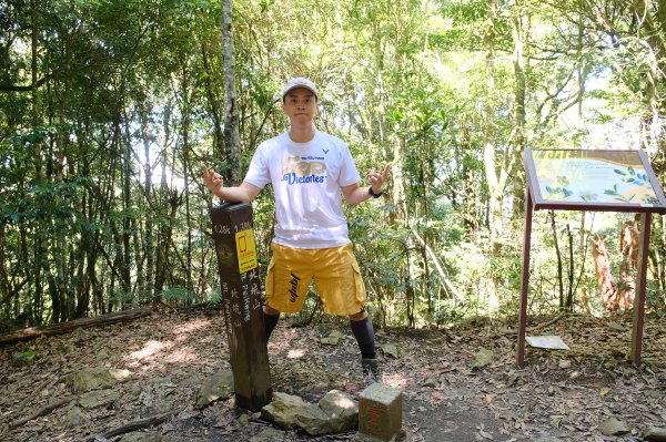 雪見大板根2924696