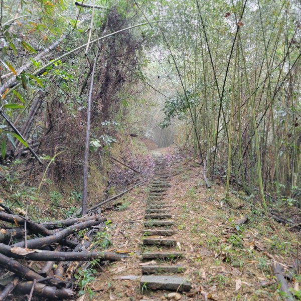 八通關古道（社寮段）1595810