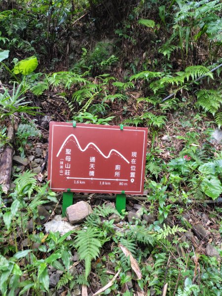 渭水之丘 烘爐地山 抹茶山 三角崙山2938829