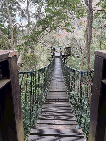 桃園 復興 巴陵古道3011856