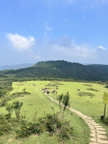 20240803頂山石梯嶺步道2582927