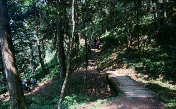 志繼山、東眼山O型1336121