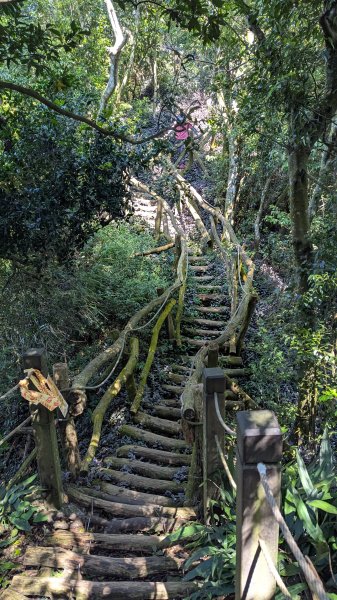 【台灣健行】台中大坑 5-1、5 頭嵙山2874070