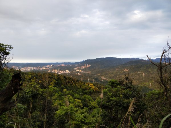 南港山縱走親山步道1679320