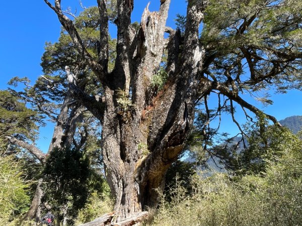 一日南橫二星人品爆發2995798