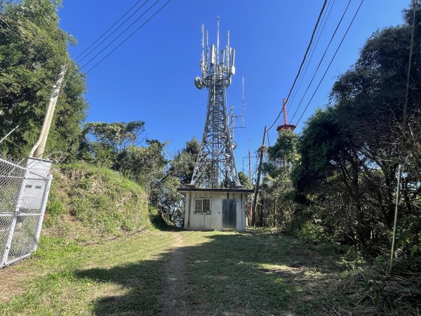 小百岳編號30-五指山112.11.04(原路折返)2336927