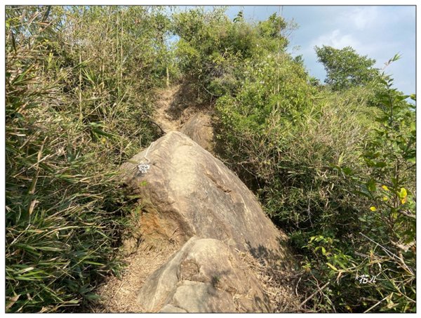 旗靈縱走(旗尾山、福美山、金字面山、人頭山、靈山)2996486