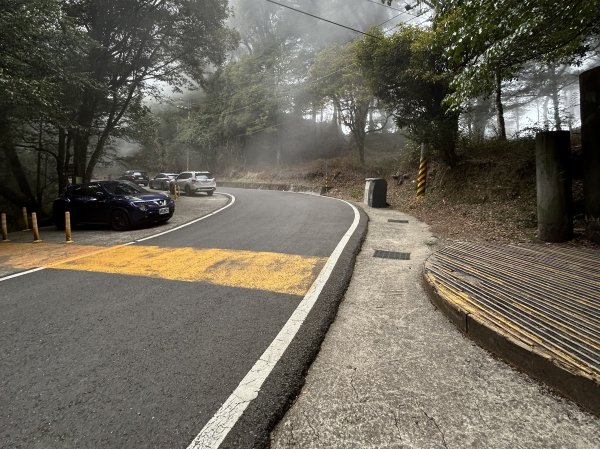 檜山巨木森林步道3001114