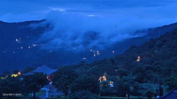 #雲瀑 #藍腹鷴 8/113101491