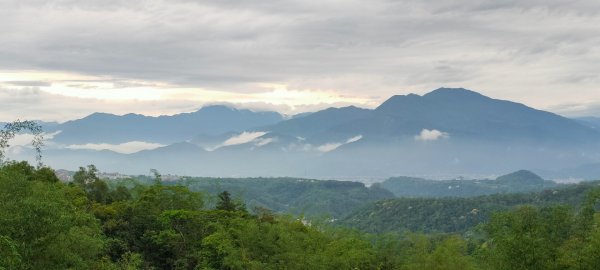 步道巡訪員 l 1090423 澀水森林步道巡訪931865