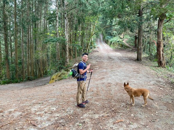 望鄉部落.獵人古道.望美山.瓊山【人與自然山林的恩怨情仇】2731400