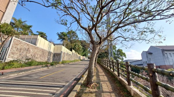 台北大縱走第一段1249056