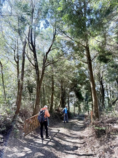 南投仁愛.埔里基石巡禮--眉溪山.東關刀山(北北峰.北峰）.墘溪山.石盤坑山    2024.12669704