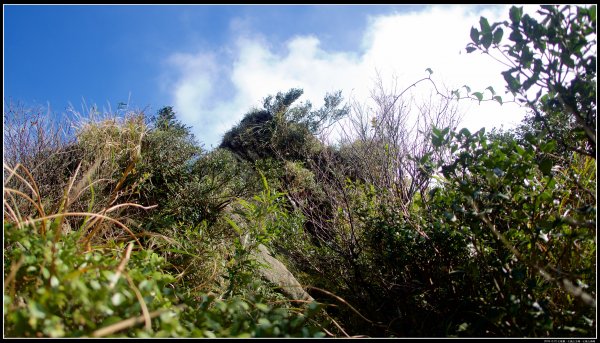 凱達格蘭山-七星山主峰-七星山南峰626866