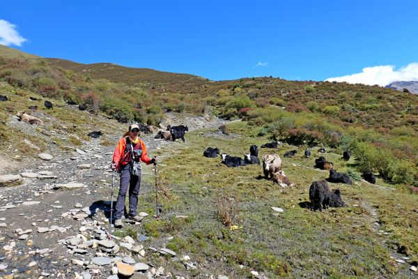 四姑娘山大峰登頂2017/10/9-12215567