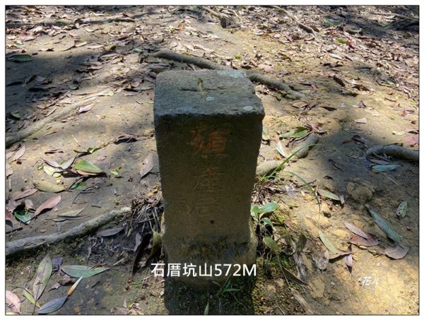 草嶺山、白石山、頭寮山 六連峰 O型路線2798577
