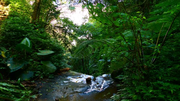 大尖山瀑布2932168