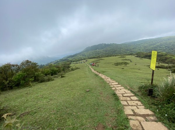 20230402頂山-石梯嶺步道2092620