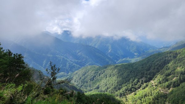 玉山前峰，關子嶺大凍山，宜蘭拳頭姆自然步道2313382