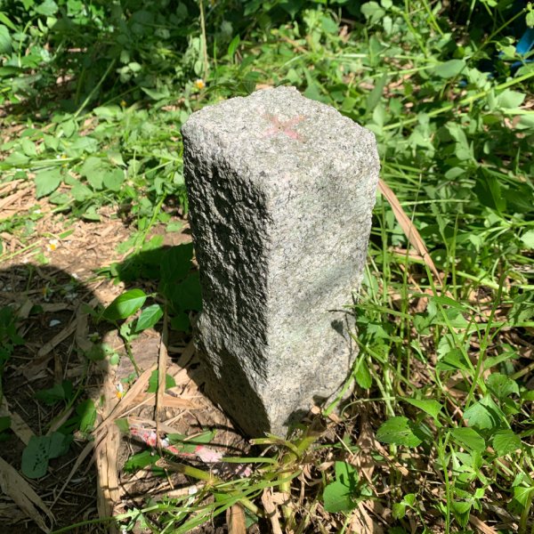 20250929台南草坪埔山-牛息山-竹腳湖山西北峰2899760