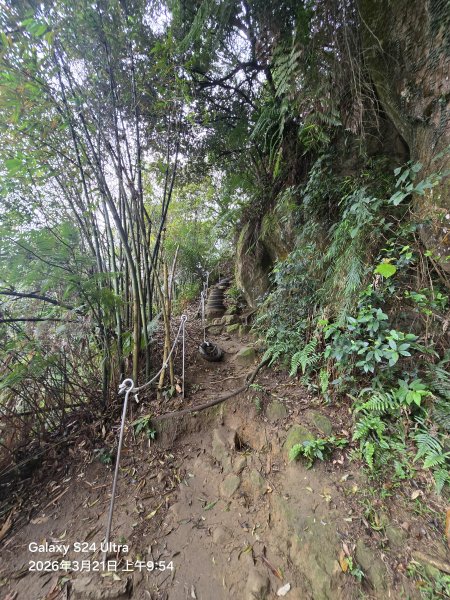 2026-03-21微笑山線：【鳶山山系】鳶山彩壁段3020475