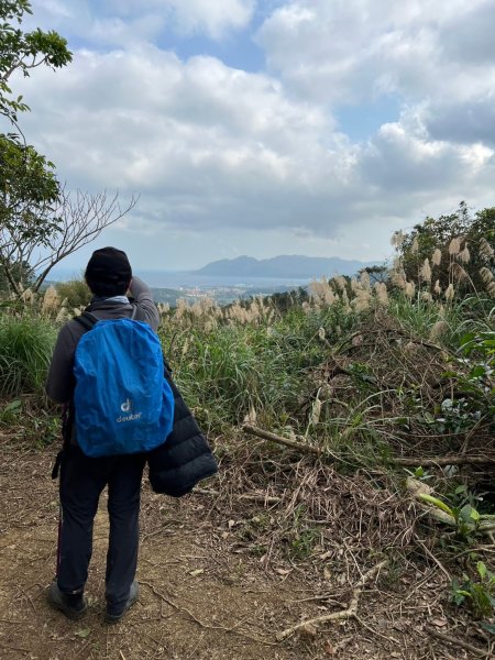 2025-01232淡蘭古道北二段(燦光寮古道到澳底)2696696