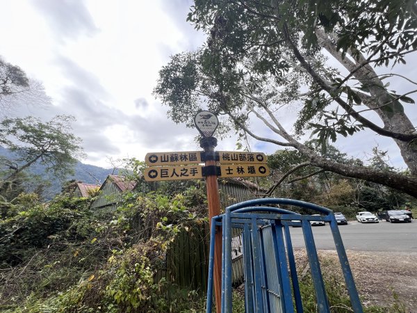 雪山坑環線步道3023307