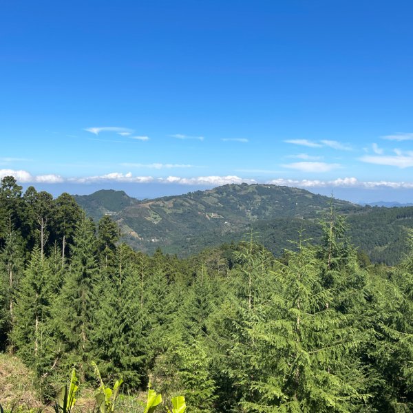 1141116油羅山2946418