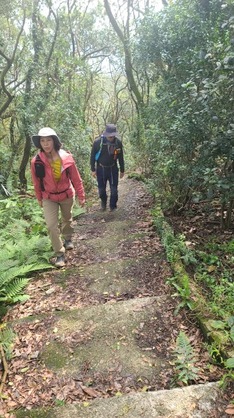 2025-0204 鶯歌_大凍山_三角埔頂山_迴龍2707882