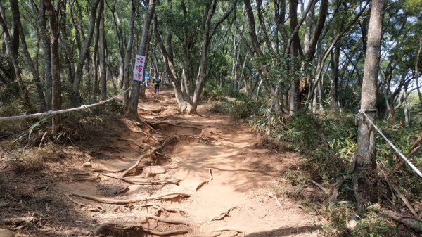 苗栗火炎山737395