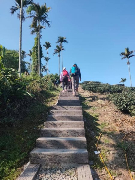 挑筍古道(大尖山、後棟仔山步道)1262776