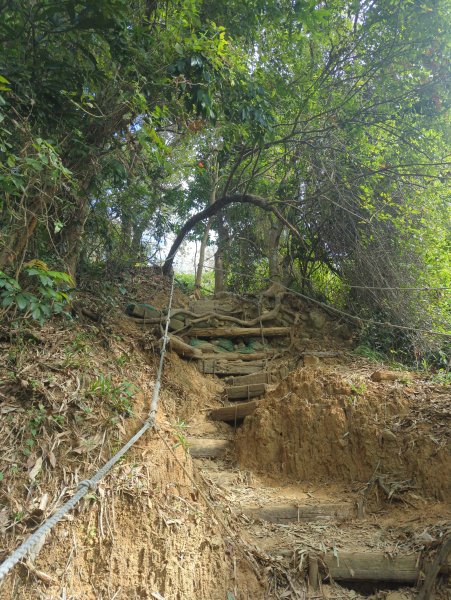 2024.12.21－旗尾山步道2677407