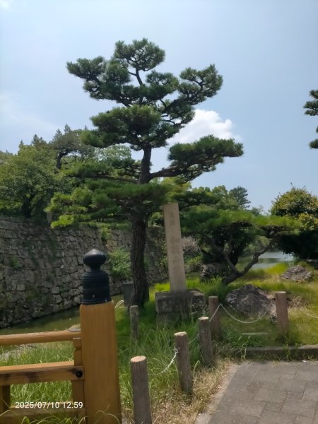 和歌縣：和歌山城2833563