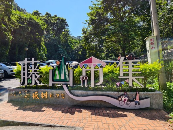 【員林】隴頂古道連走萬里長城及藤山步道O繞2871794