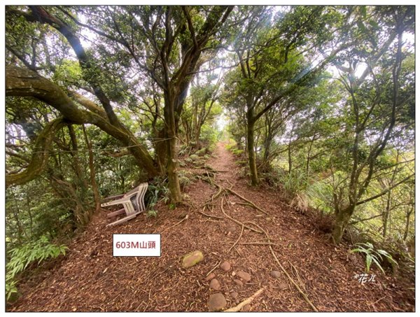 火炎山、北火炎山(新發現基石)、石頭坑山 連走3056087
