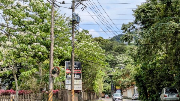 大尖山。走向2770850