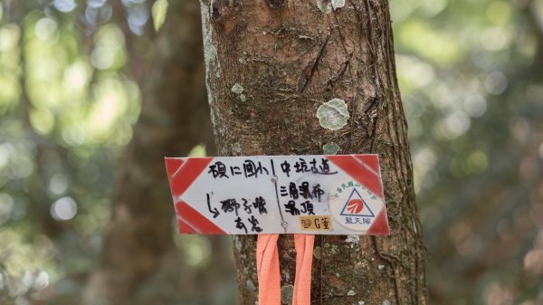 周朝南館長兒時上學路｜烏塗窟古道＆一通坑巡禮2554402