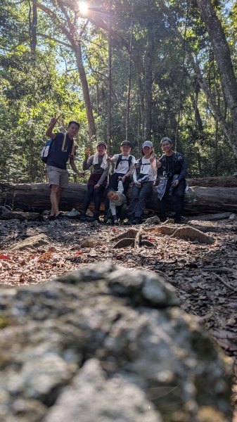 八仙山主峰步道3012297