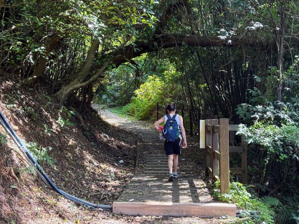 犁頭山、文山步道2835632