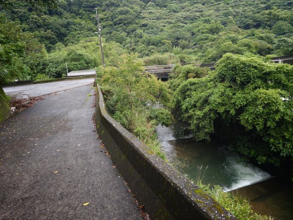 [淡蘭古道] 2026_0614 北路第三段_道路3075541