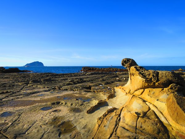 看海最美的神秘步道：到基隆大坪海岸尋找海豹岩